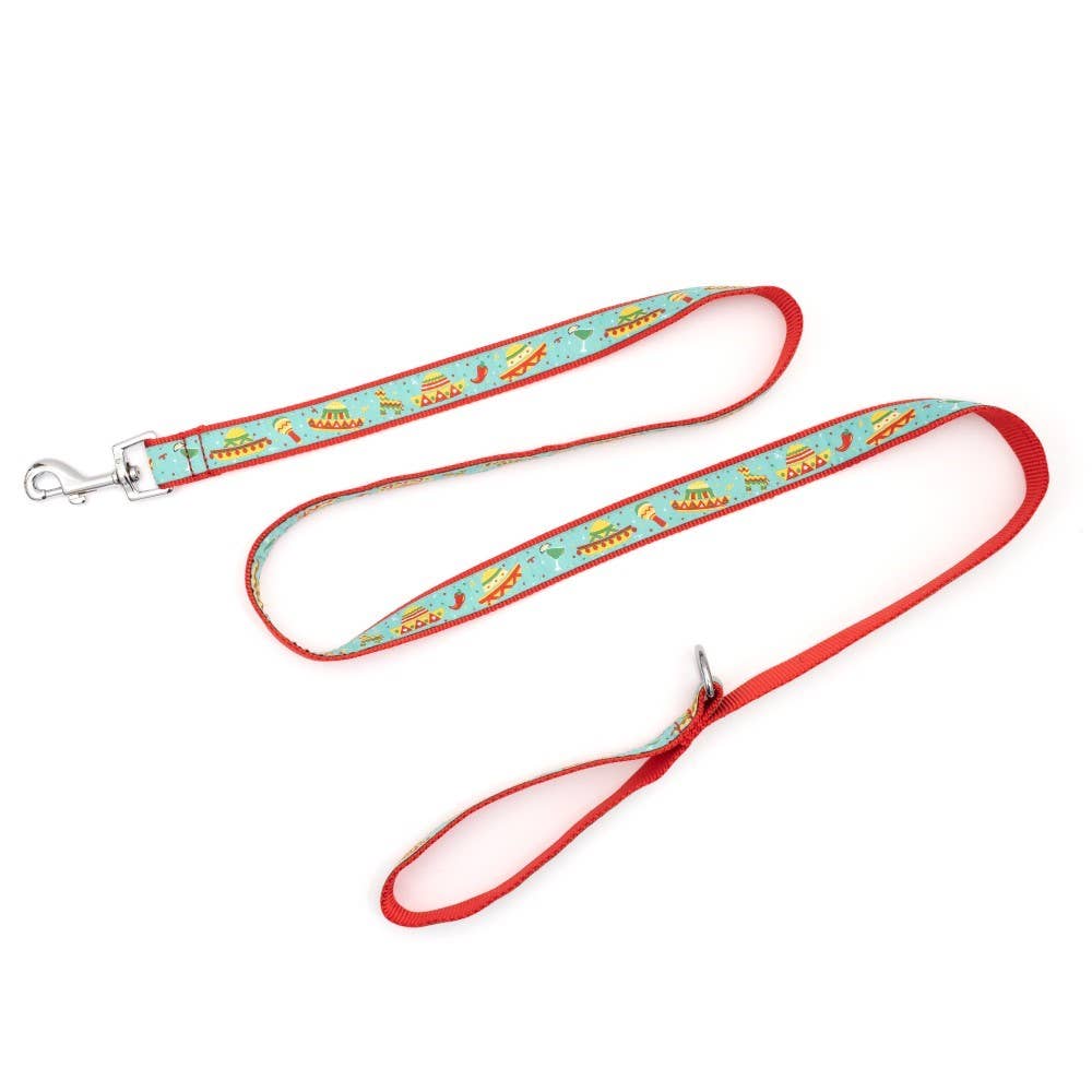 Cinco de Mayo Leash - The Bougie Pet Boutique