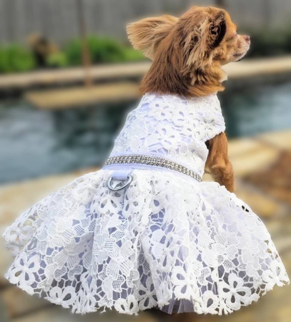 White Lace Dog Wedding Dress with Matching Leash Doggie Design