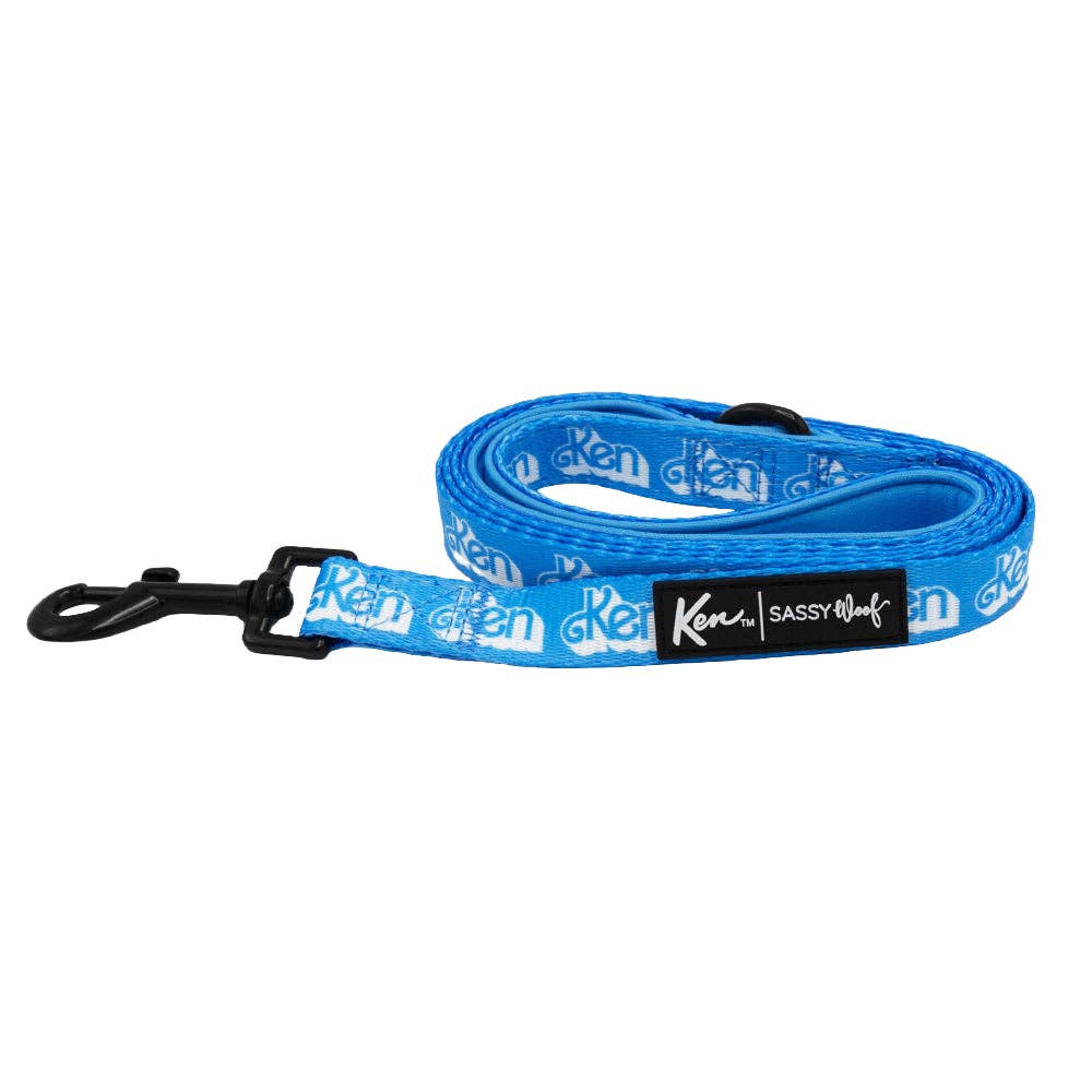 Dog Leash - KEN™ - The Bougie Pet Boutique