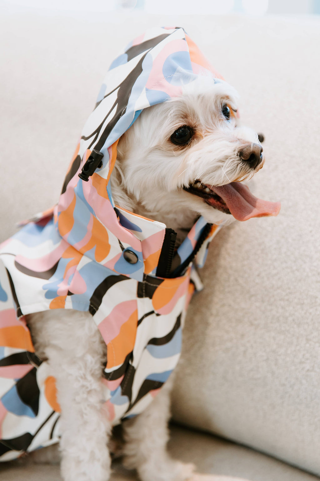 Leaf Dog Rain Jacket Stella & Oscar