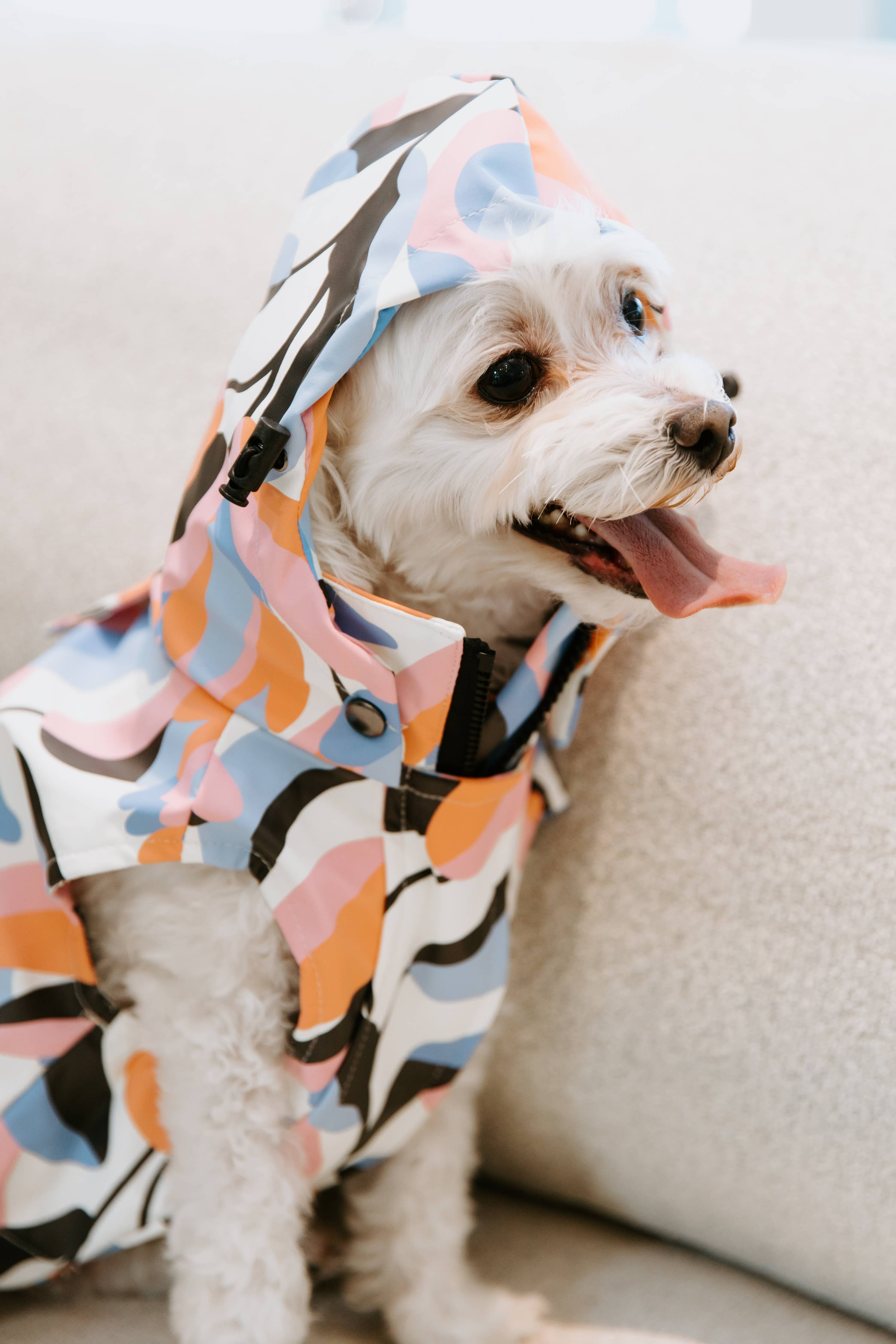 Leaf Dog Rain Jacket Stella & Oscar