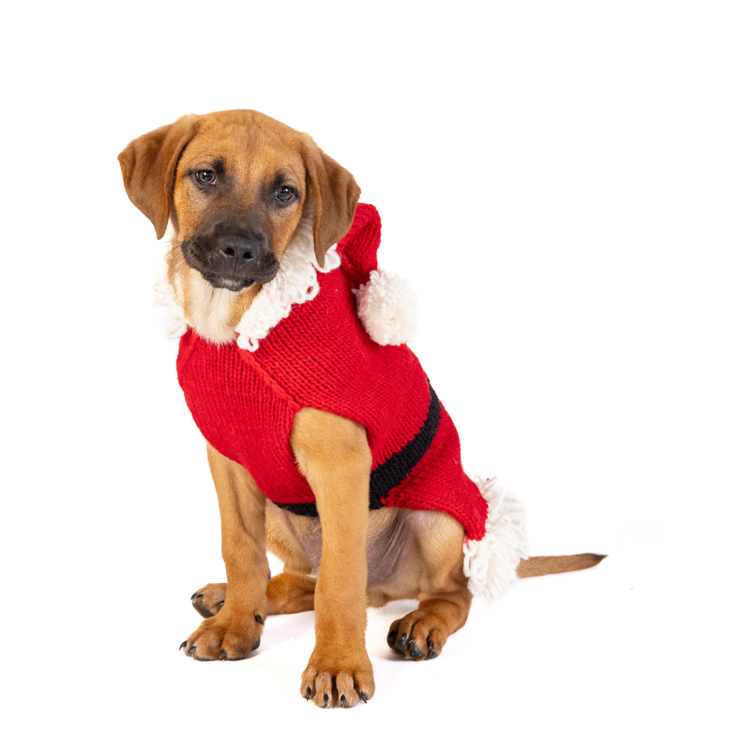Chilly Dog Santa Dog & Cat Sweater - The Bougie Pet Boutique