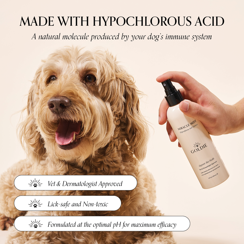 Miracle Mist - The Bougie Pet Boutique