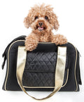 Airline Approved Mystique Fashion Pet Carrier Pet Life