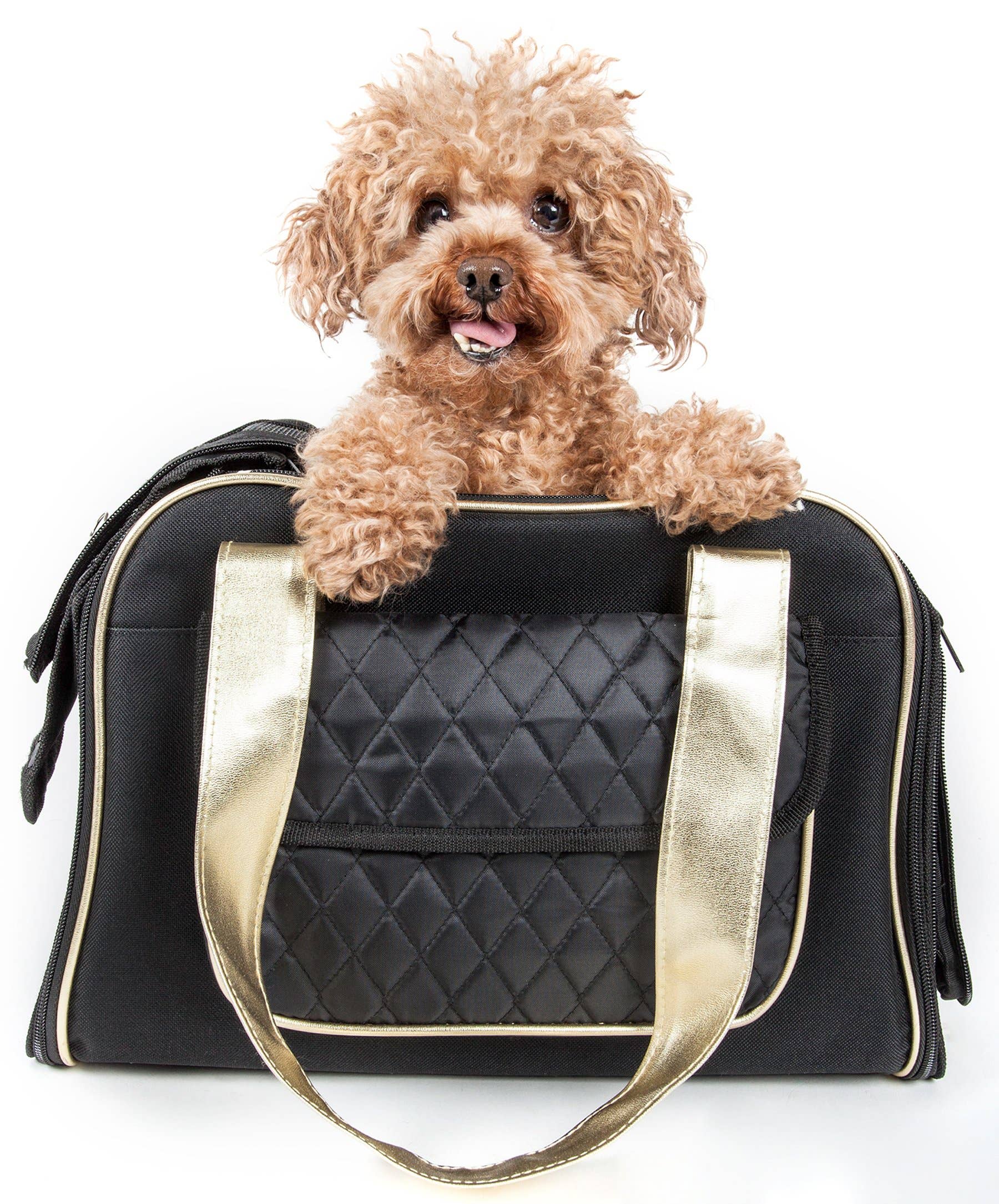 Airline Approved Mystique Fashion Pet Carrier Pet Life