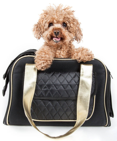 Airline Approved Mystique Fashion Pet Carrier Pet Life