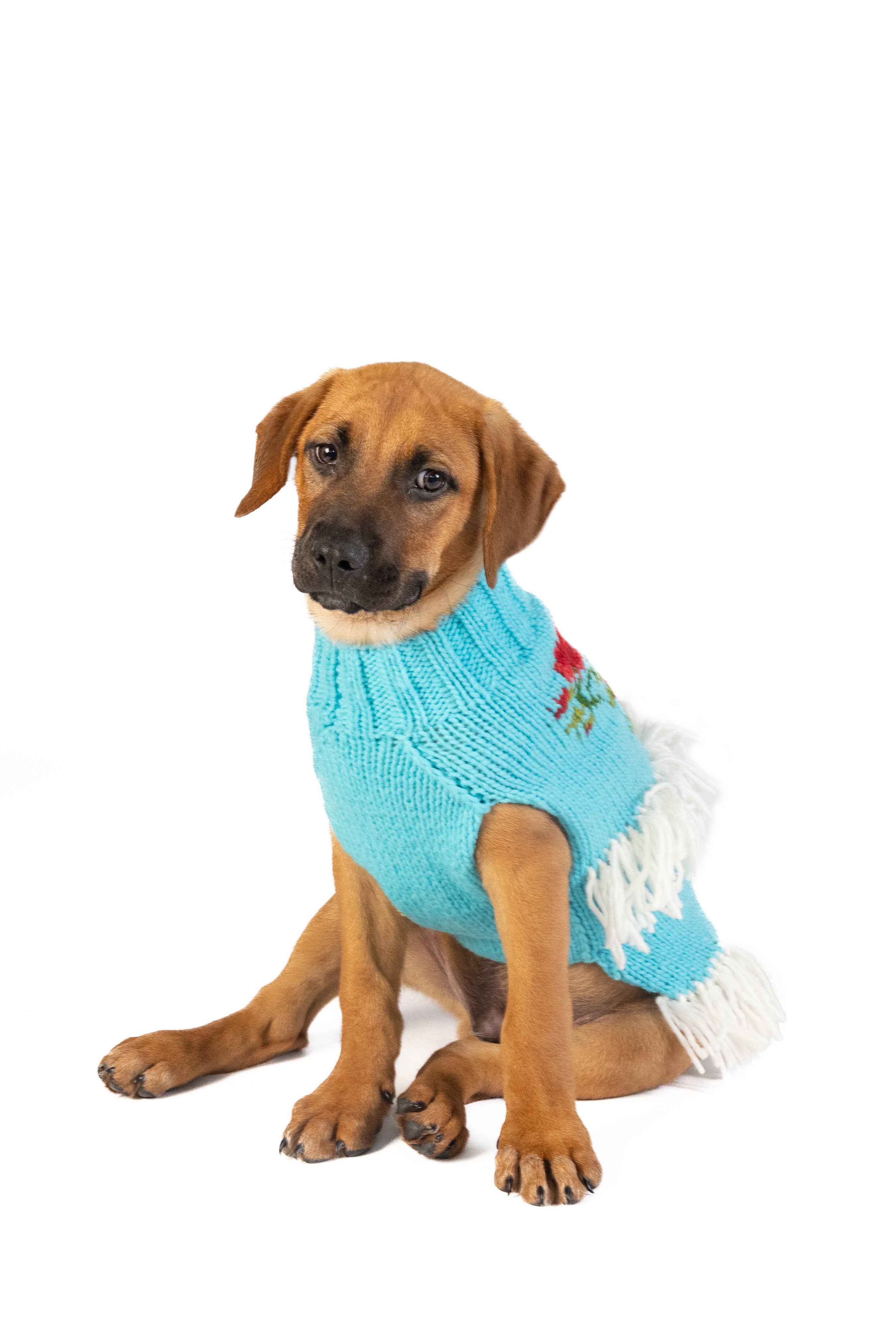 Chilly Dog Rodeo Dog & Cat Sweater - The Bougie Pet Boutique