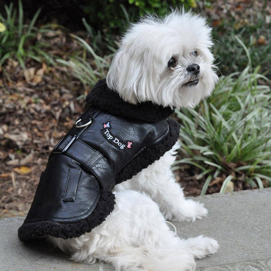 Top Dog Flight Harness Coat - Black Doggie Design
