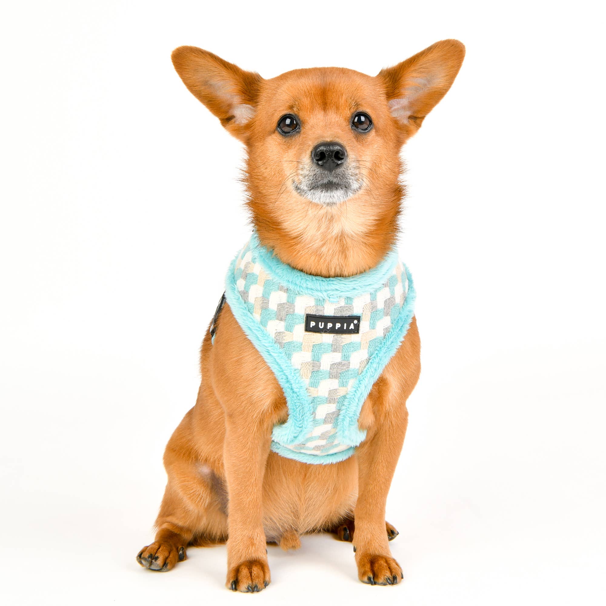 ARDEN DOG HARNESS OVER-THE-HEAD ADJUSTBALE CHECKERED Puppia International Inc.