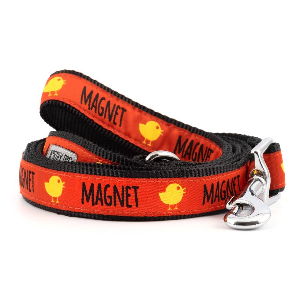 Chick Magnet Lead