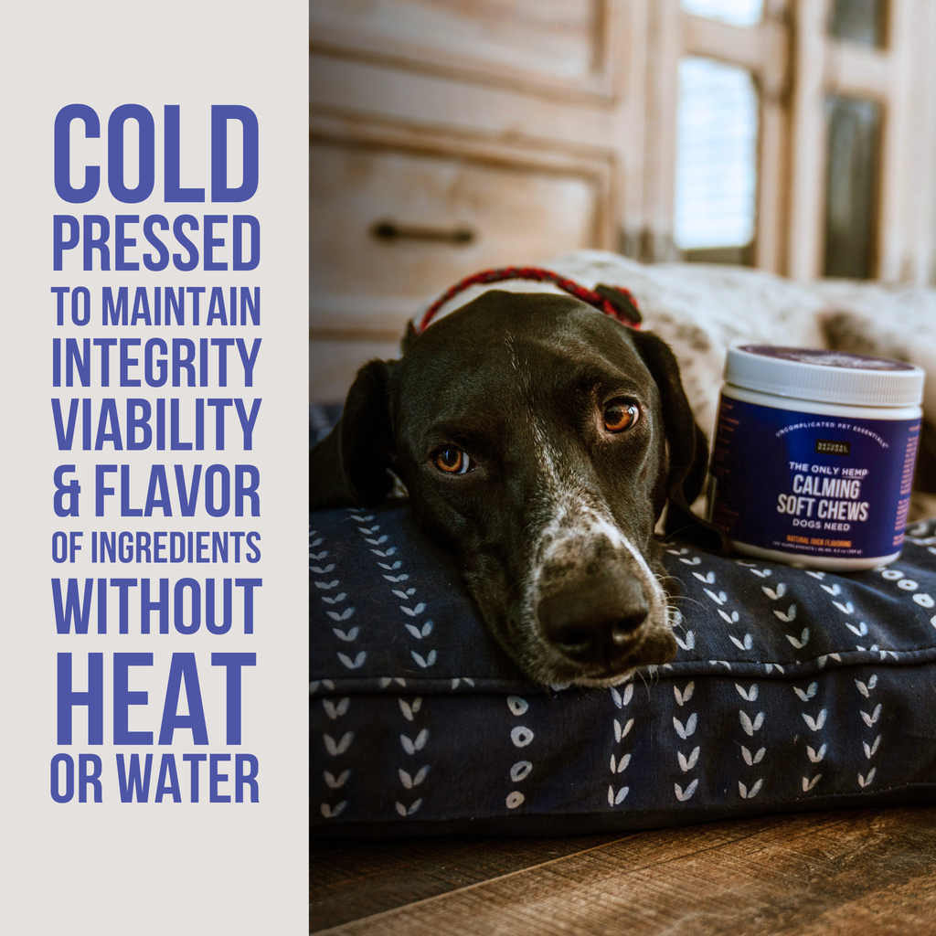 The Only Hemp Calming Soft Chews Dogs Need Natural Rapport