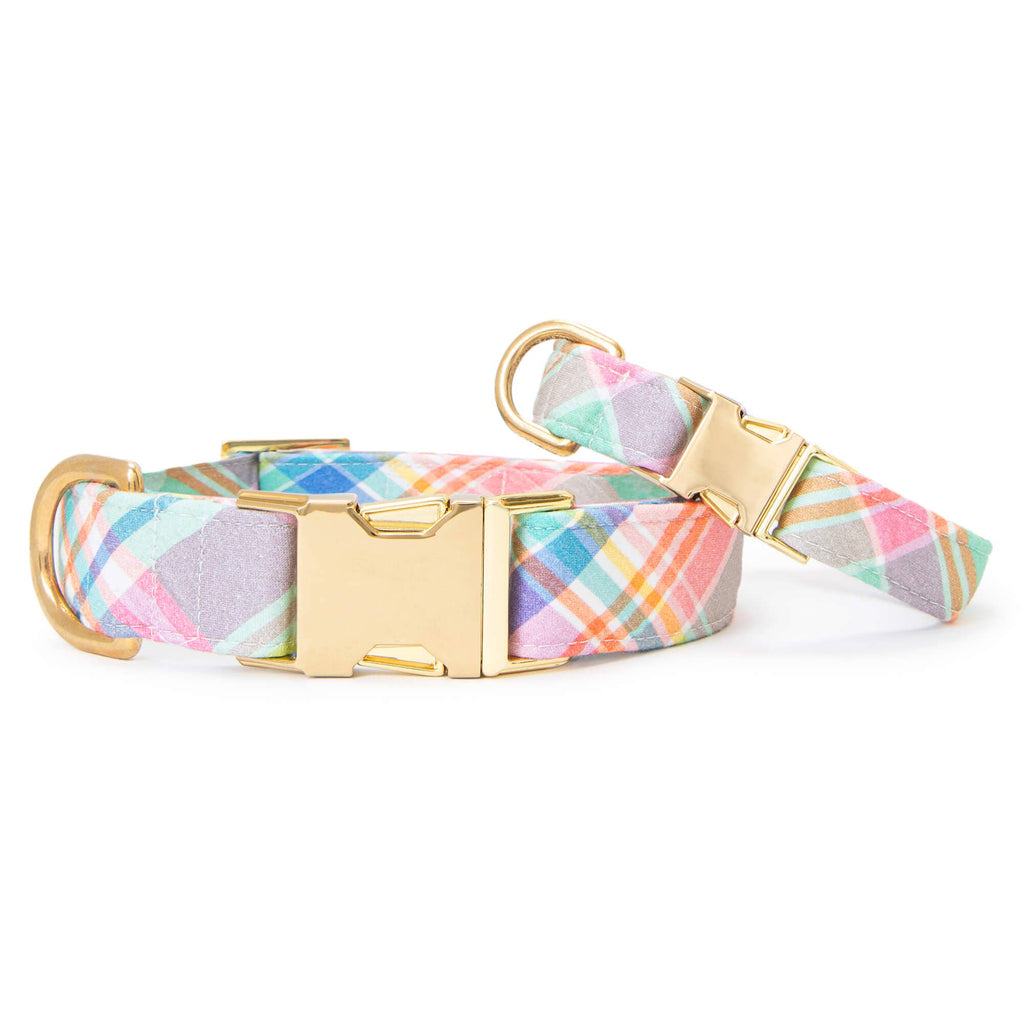 Blooming Plaid Spring Easter Dog Collar The Foggy Dog