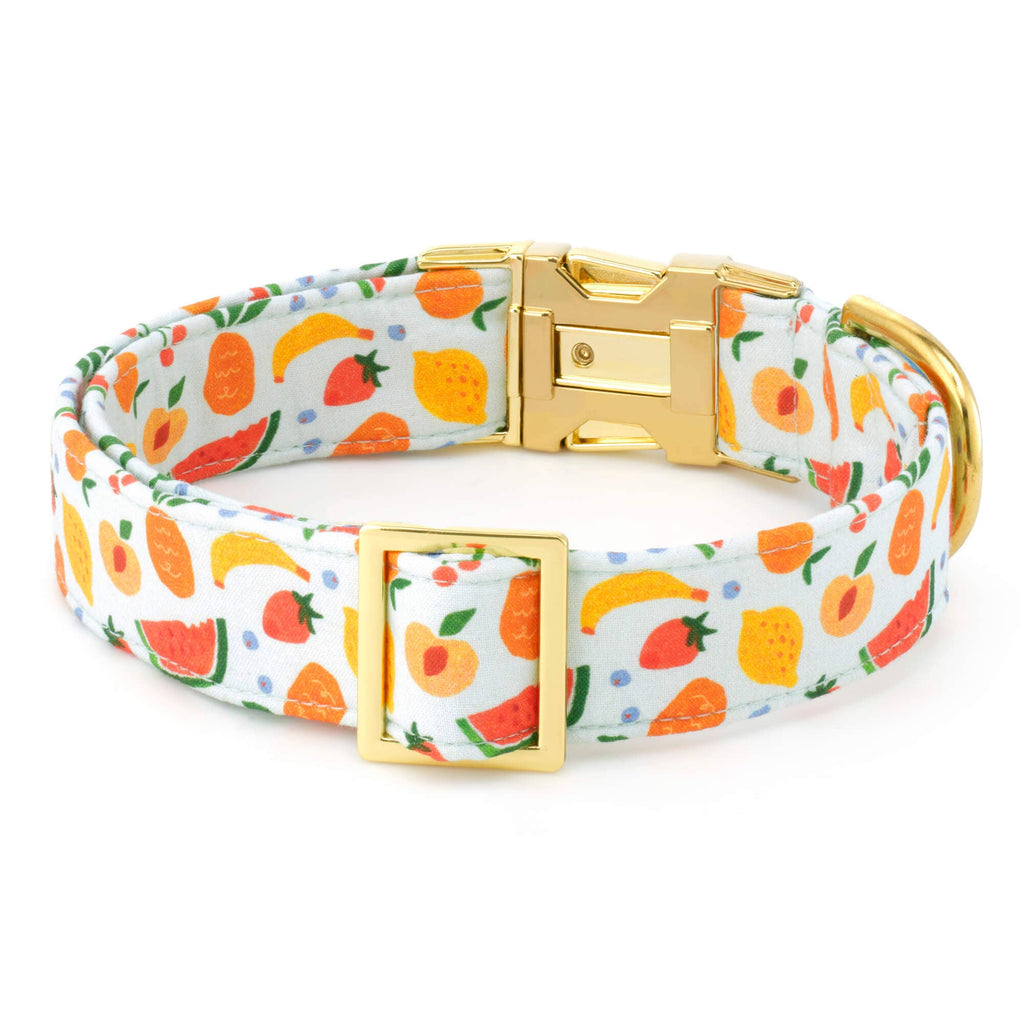 Fruit Salad Summer Dog Collar - The Bougie Pet Boutique