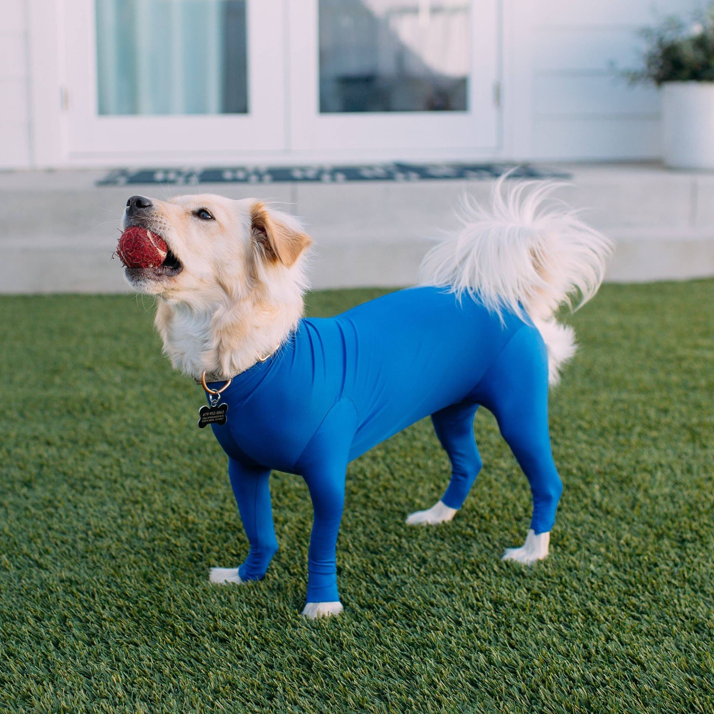 Shed Defender® Original Dog Onesie - Shedding Bodysuit Shed Defender