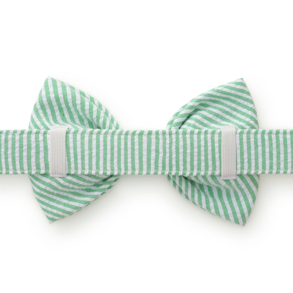 Green Seersucker Dog Bow Tie The Foggy Dog