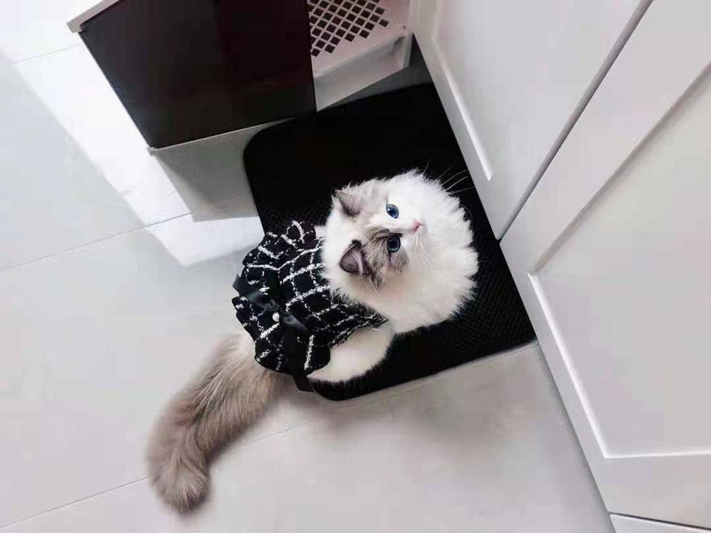 Classic | Tweed Style Monochrome Pet Dress - The Bougie Pet Boutique