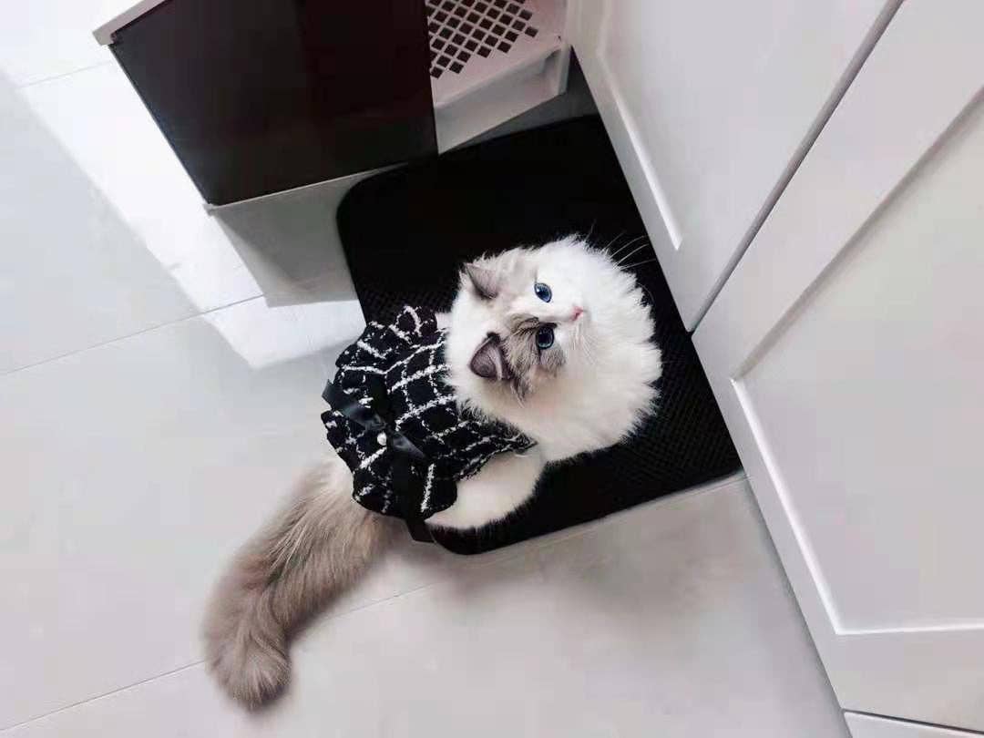 Classic | Tweed Style Monochrome Pet Dress - The Bougie Pet Boutique