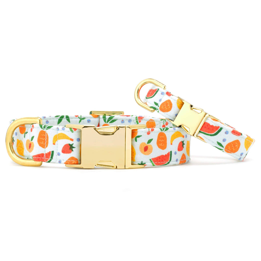 Fruit Salad Summer Dog Collar - The Bougie Pet Boutique