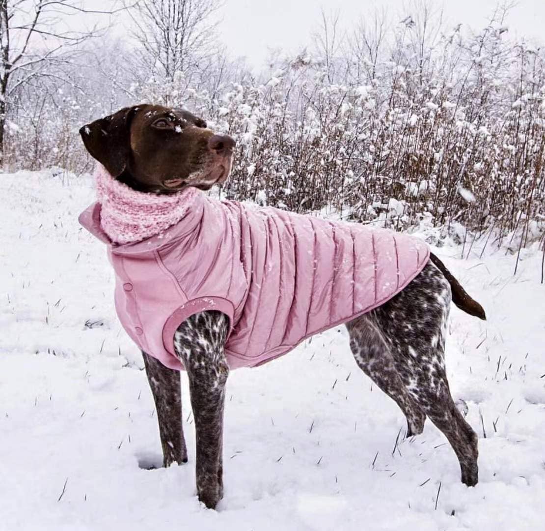 Custom-woven& Dyed Puffer Jacket, Flex Chest + Leash Opening - The Bougie Pet Boutique