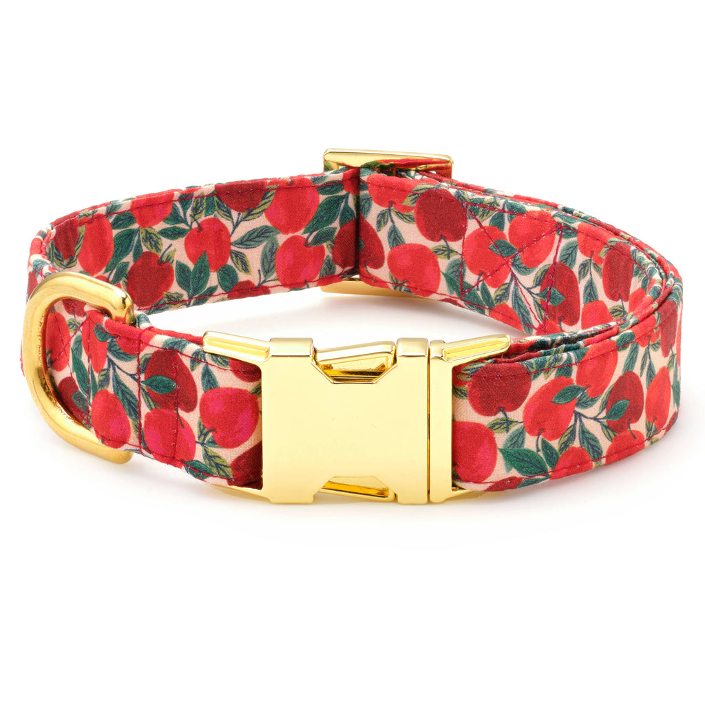 Apple of My Eye Fall Dog Collar - The Bougie Pet Boutique