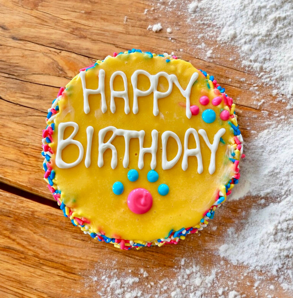 Colorful FIESTA Sprinkle Doggie Cake Treat YumYum4DOGS