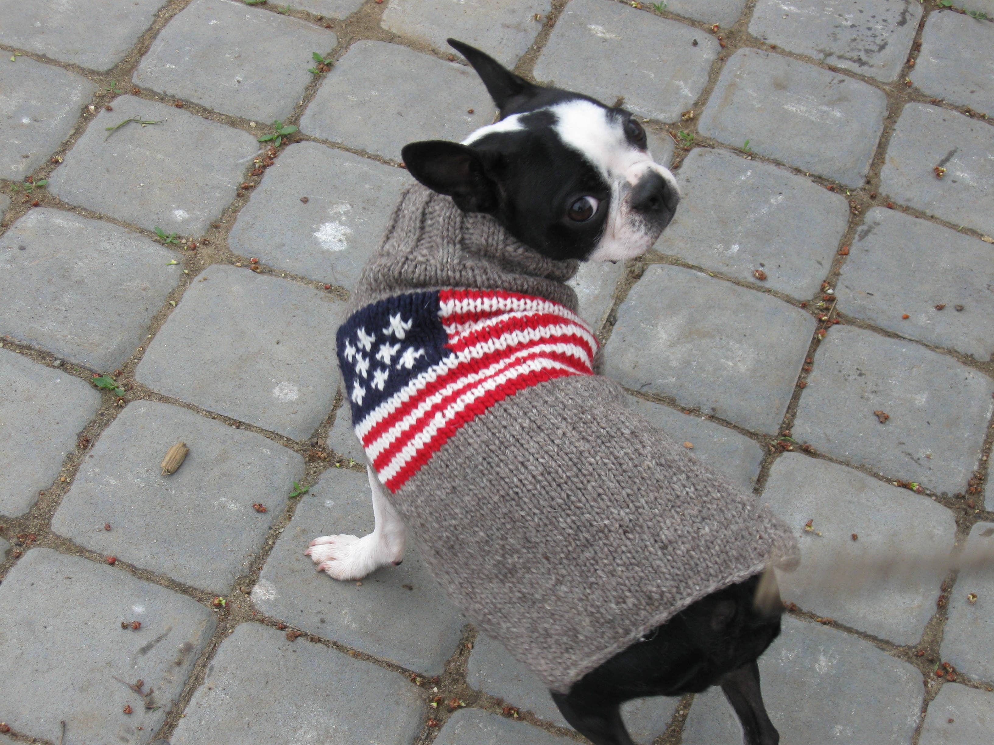 American Flag Dog Sweater - The Bougie Pet Boutique