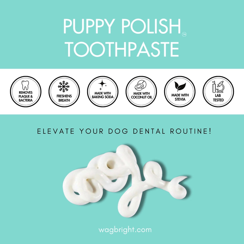 Puppy Polish Toothpaste - Filet Mignon (Beef) - The Bougie Pet Boutique
