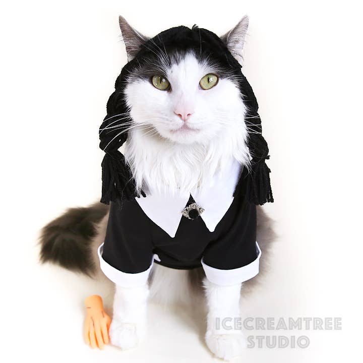 Wednesday Look Outfit Black Shirt Dress - Dog Cat