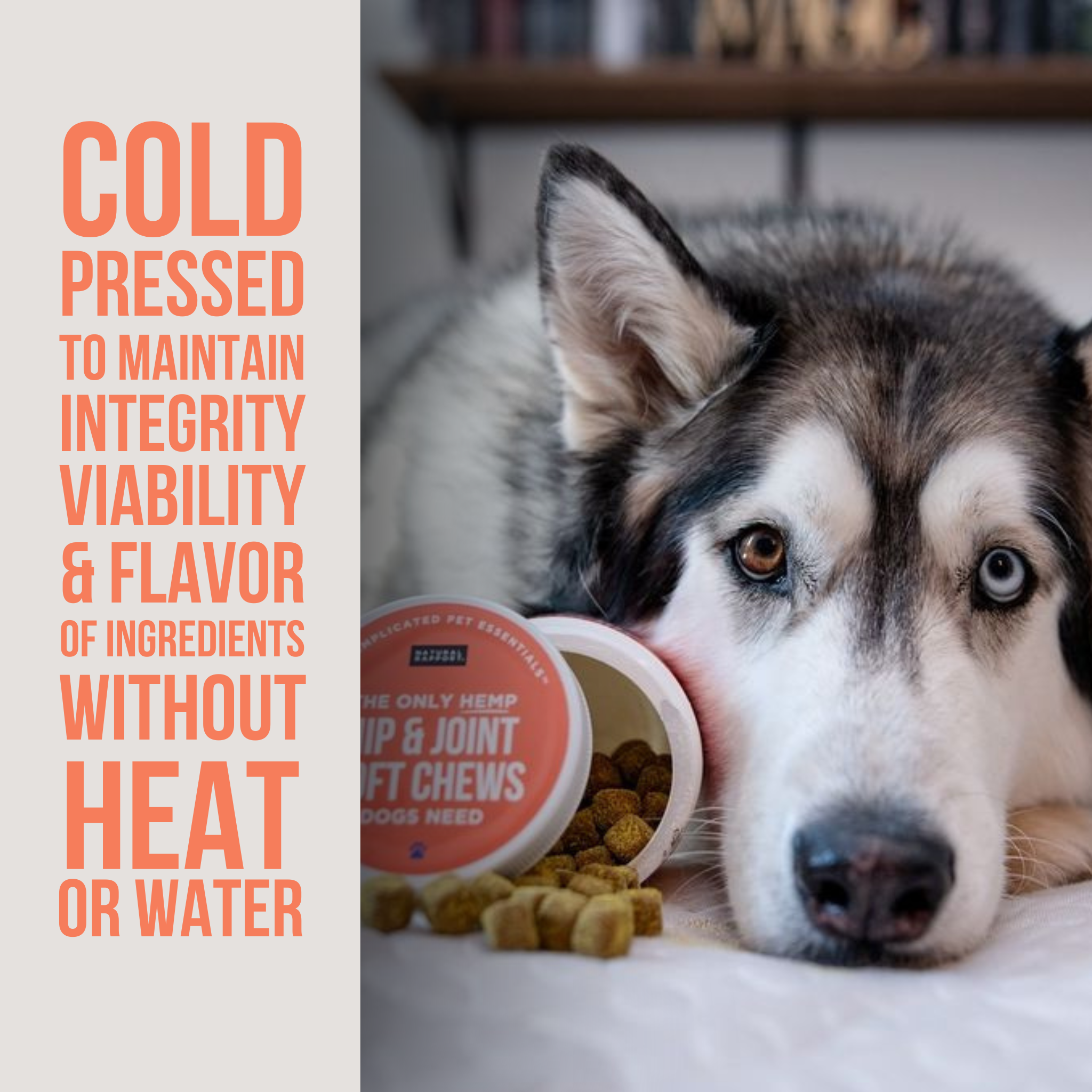 The Only Hemp Hip & Joint Soft Chews Dogs Need Natural Rapport