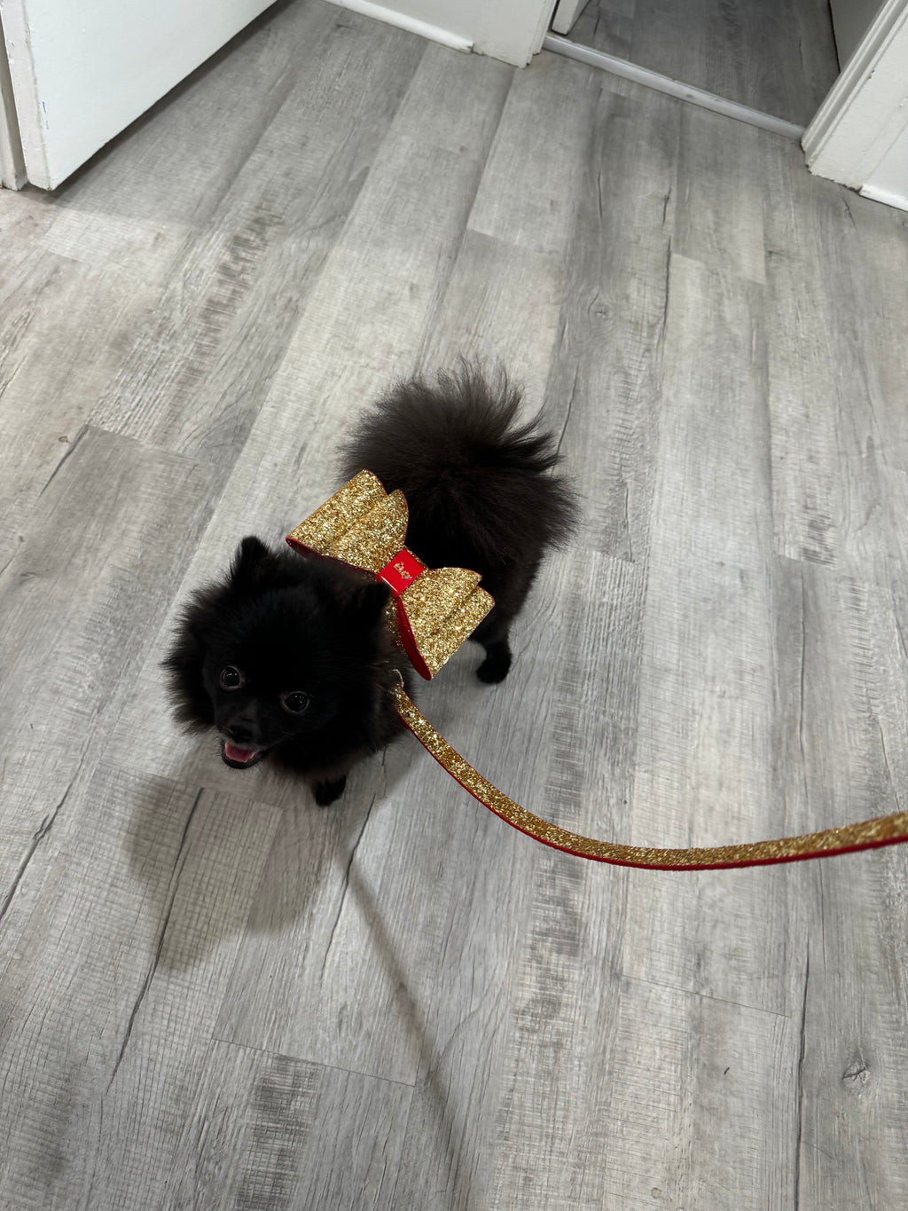 Glam Leash - The Bougie Pet Boutique