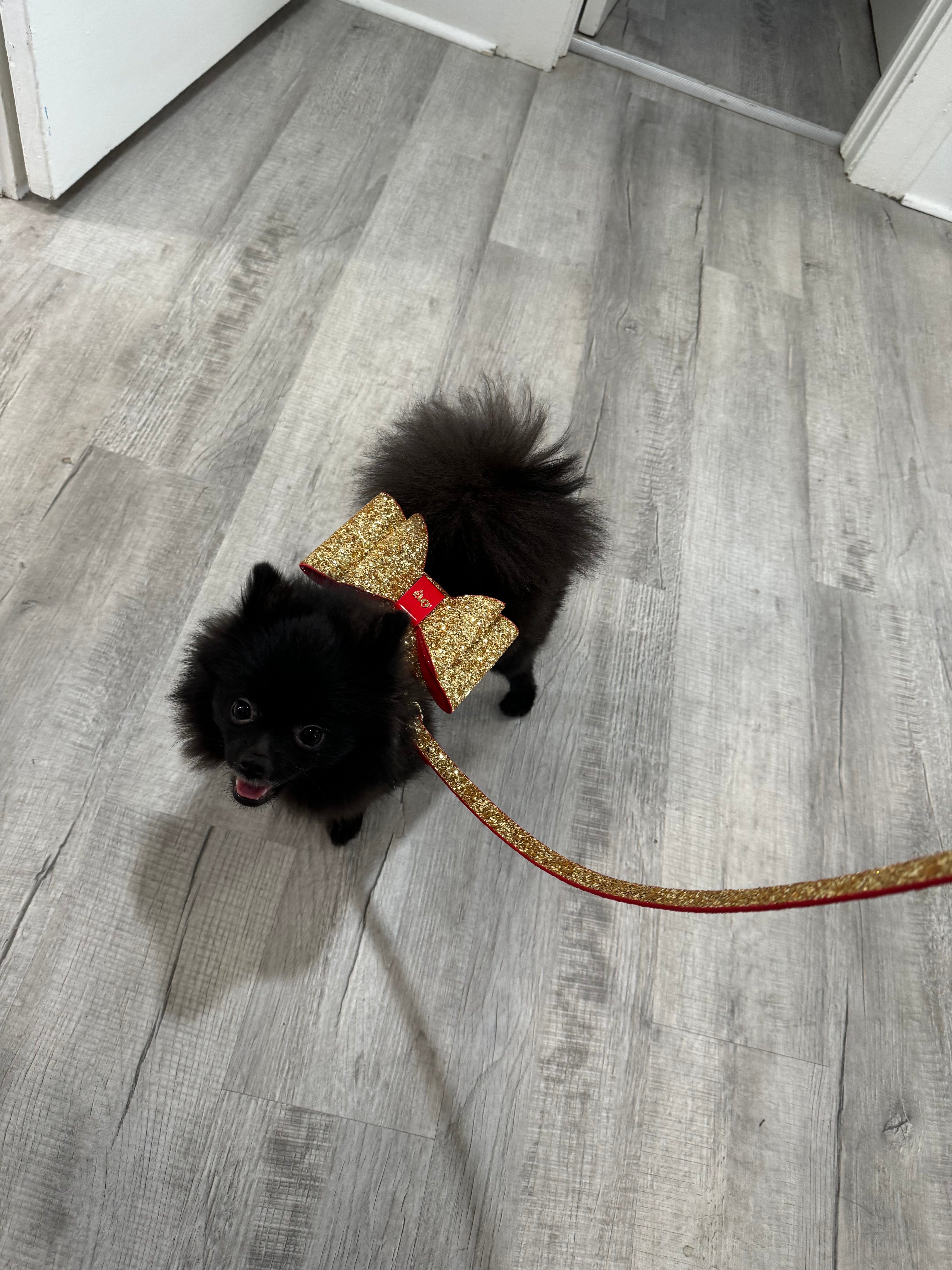 Glam Leash - The Bougie Pet Boutique
