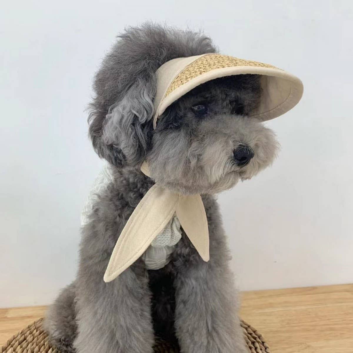 Sun Hat for Small Dogs & Cats – Garden Style_CWAH3709 PAWPAWwholesale