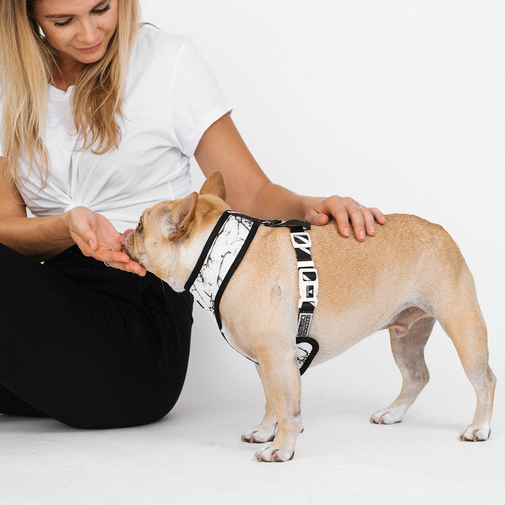 Frenchie Duo Reversible Harness - Black Marble - The Bougie Pet Boutique