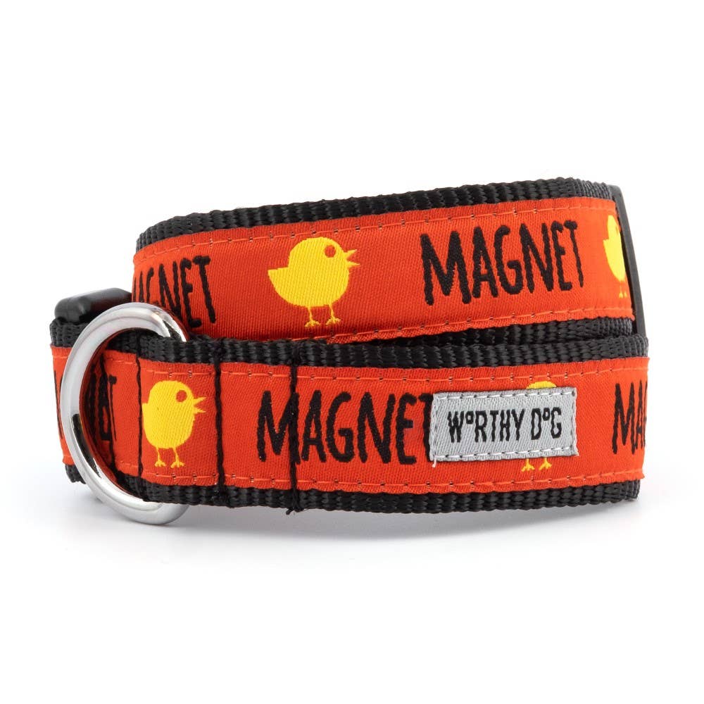 Chick Magnet Collar - The Bougie Pet Boutique