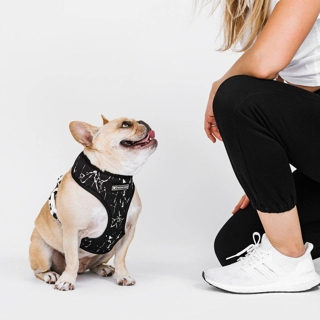 Frenchie Duo Reversible Harness - Black Marble - The Bougie Pet Boutique