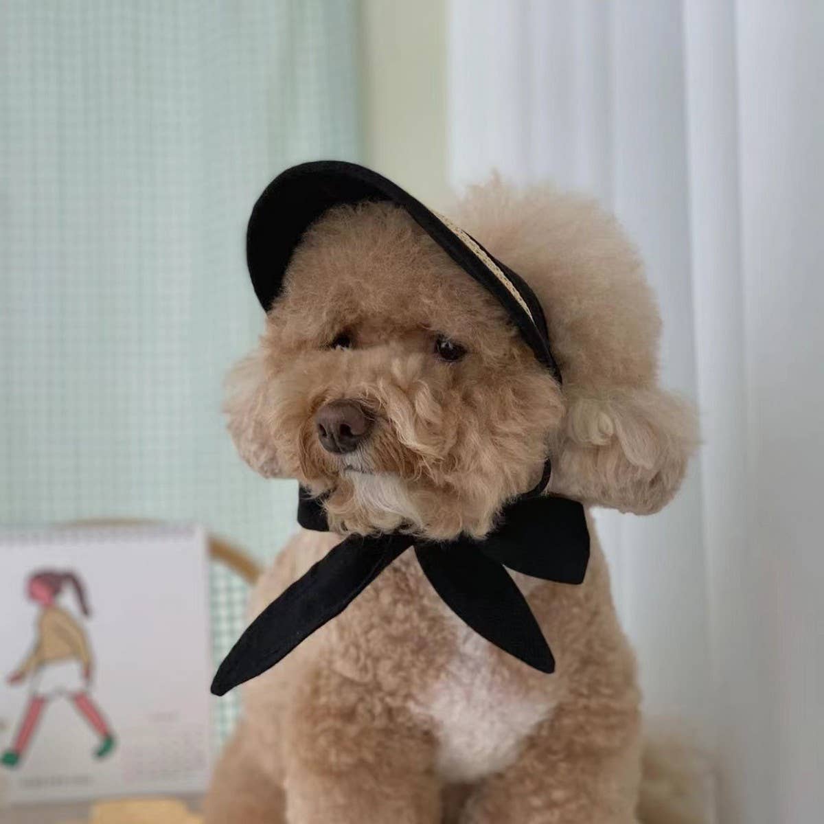 Sun Hat for Small Dogs & Cats – Garden Style_CWAH3709 PAWPAWwholesale