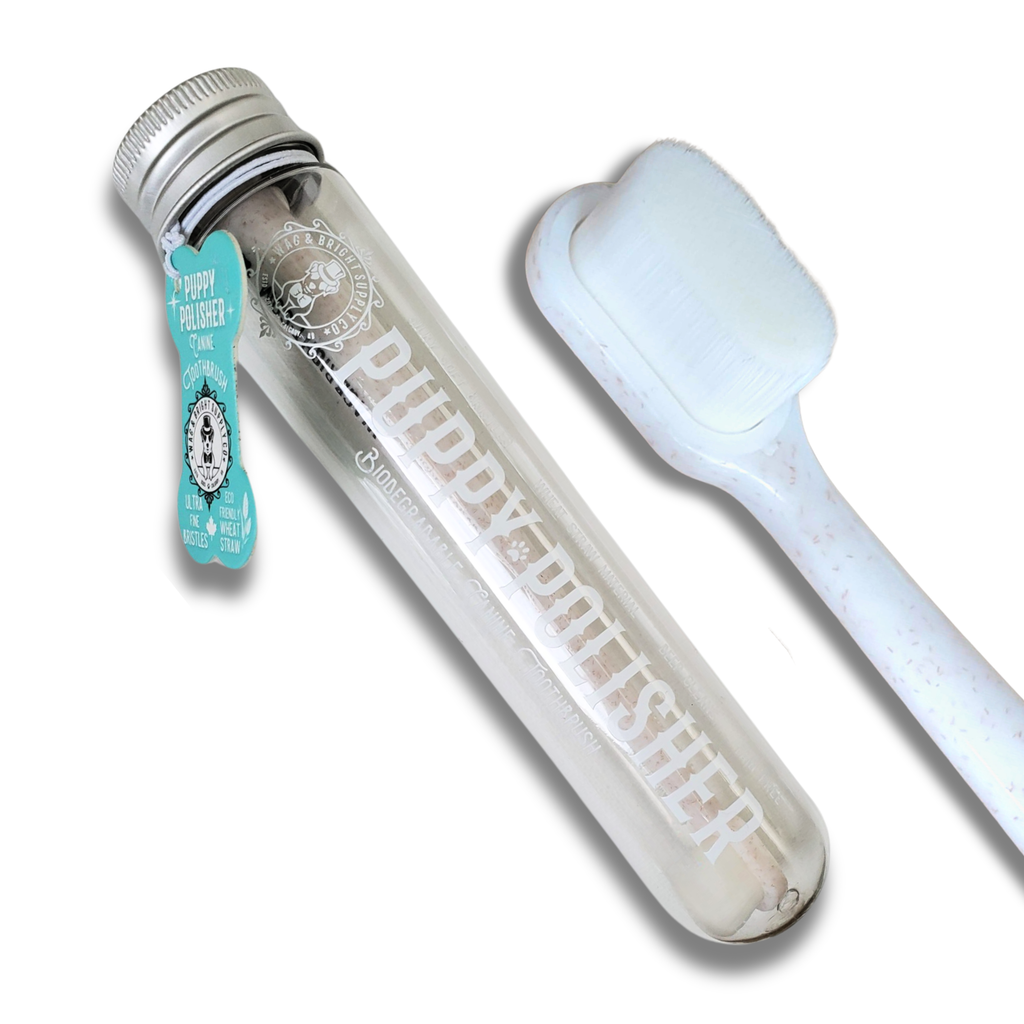 Puppy Polisher Eco Toothbrush - (Medium) - The Bougie Pet Boutique