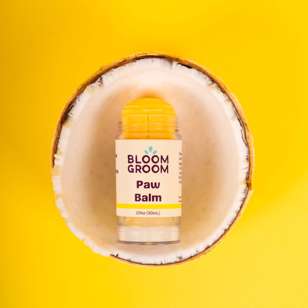 Paw Balm For Dogs Bloom Groom