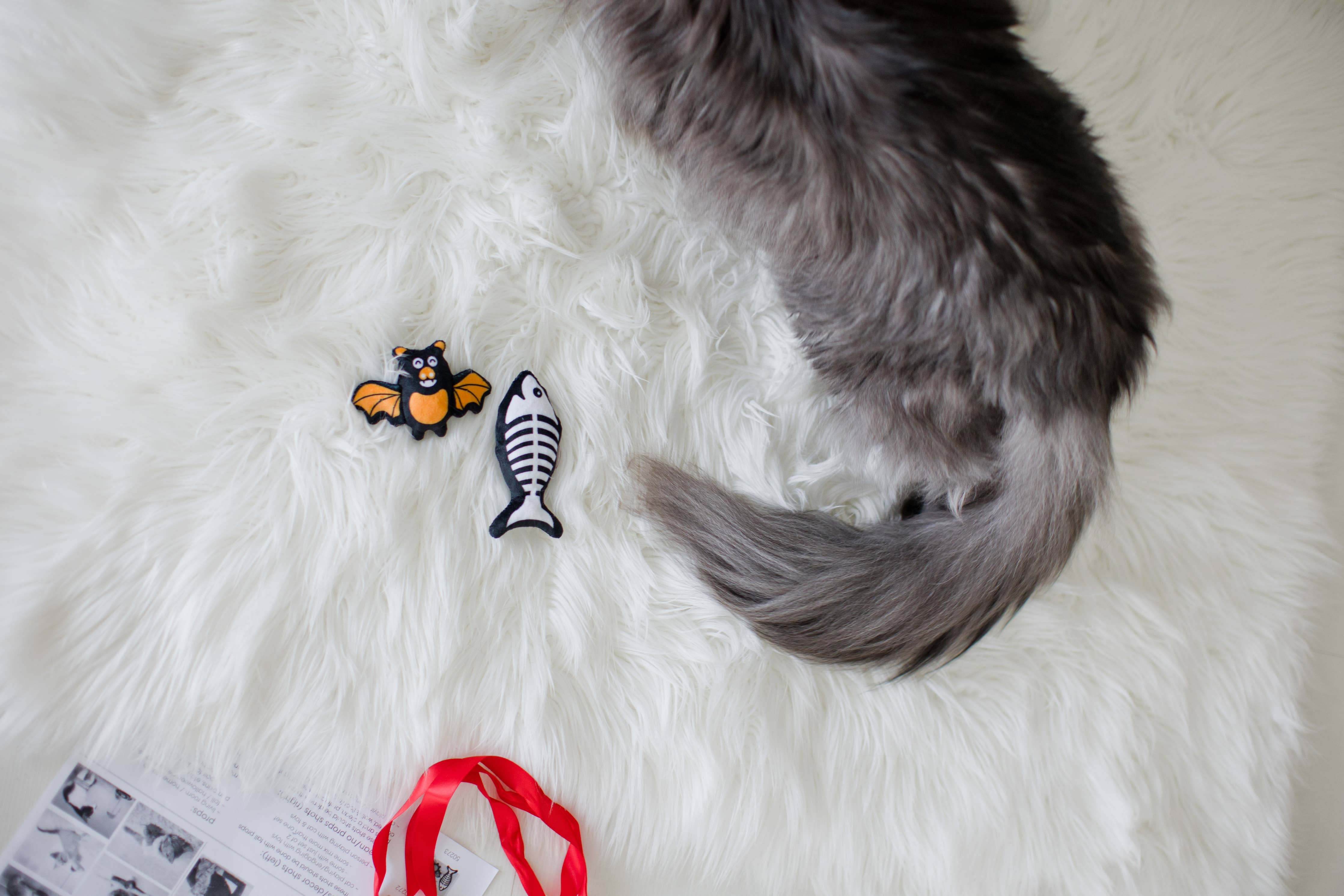 Bat & Fish Skeleton Halloween Cat Toys, Set of 2