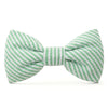 Green Seersucker Dog Bow Tie The Foggy Dog