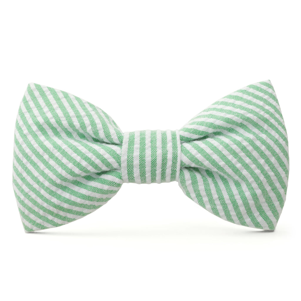 Green Seersucker Dog Bow Tie The Foggy Dog
