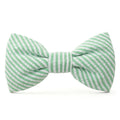 Green Seersucker Dog Bow Tie The Foggy Dog