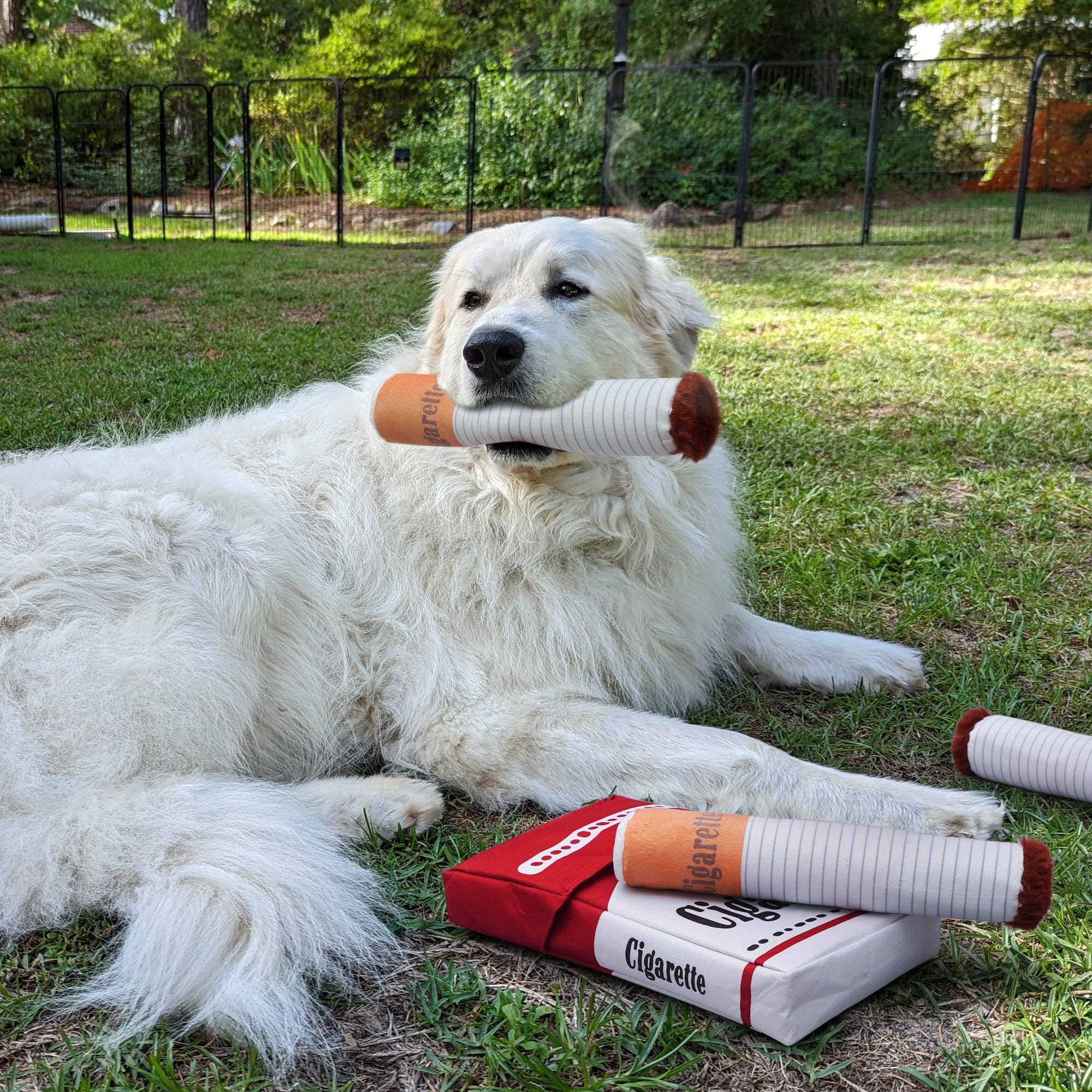 Nocciola Big Giggle Puff Stick Toys with a Box - The Bougie Pet Boutique