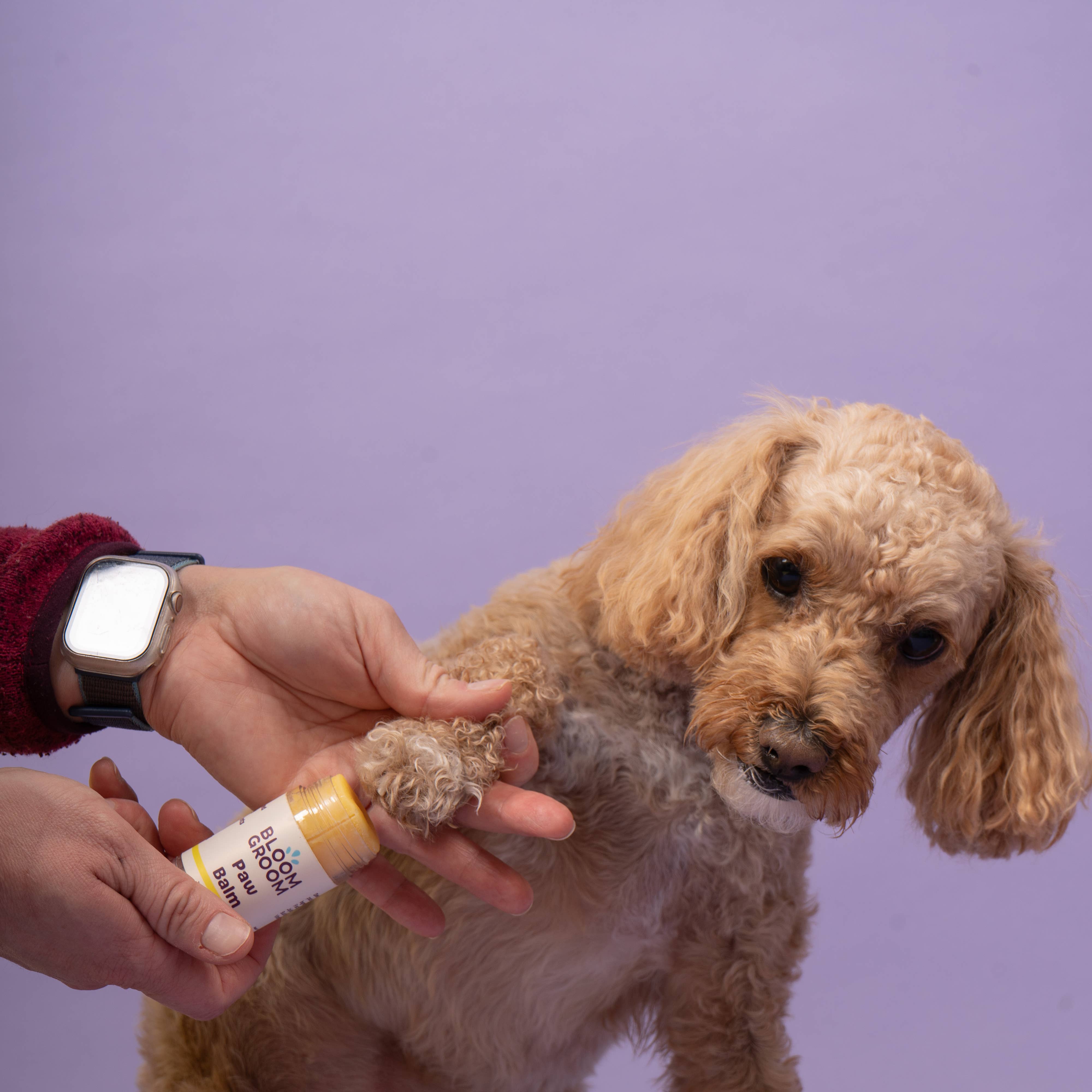 Paw Balm For Dogs Bloom Groom