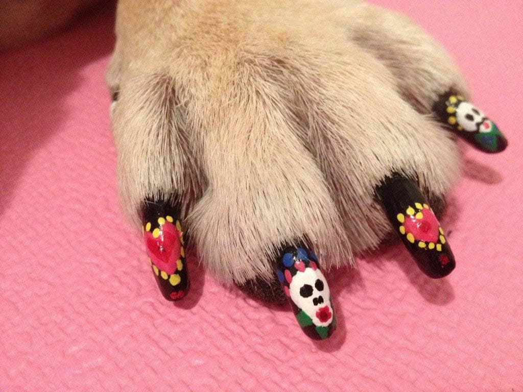 Pawdicure Nail Polish Pen - Quick Dry - 13 Colors - The Bougie Pet Boutique