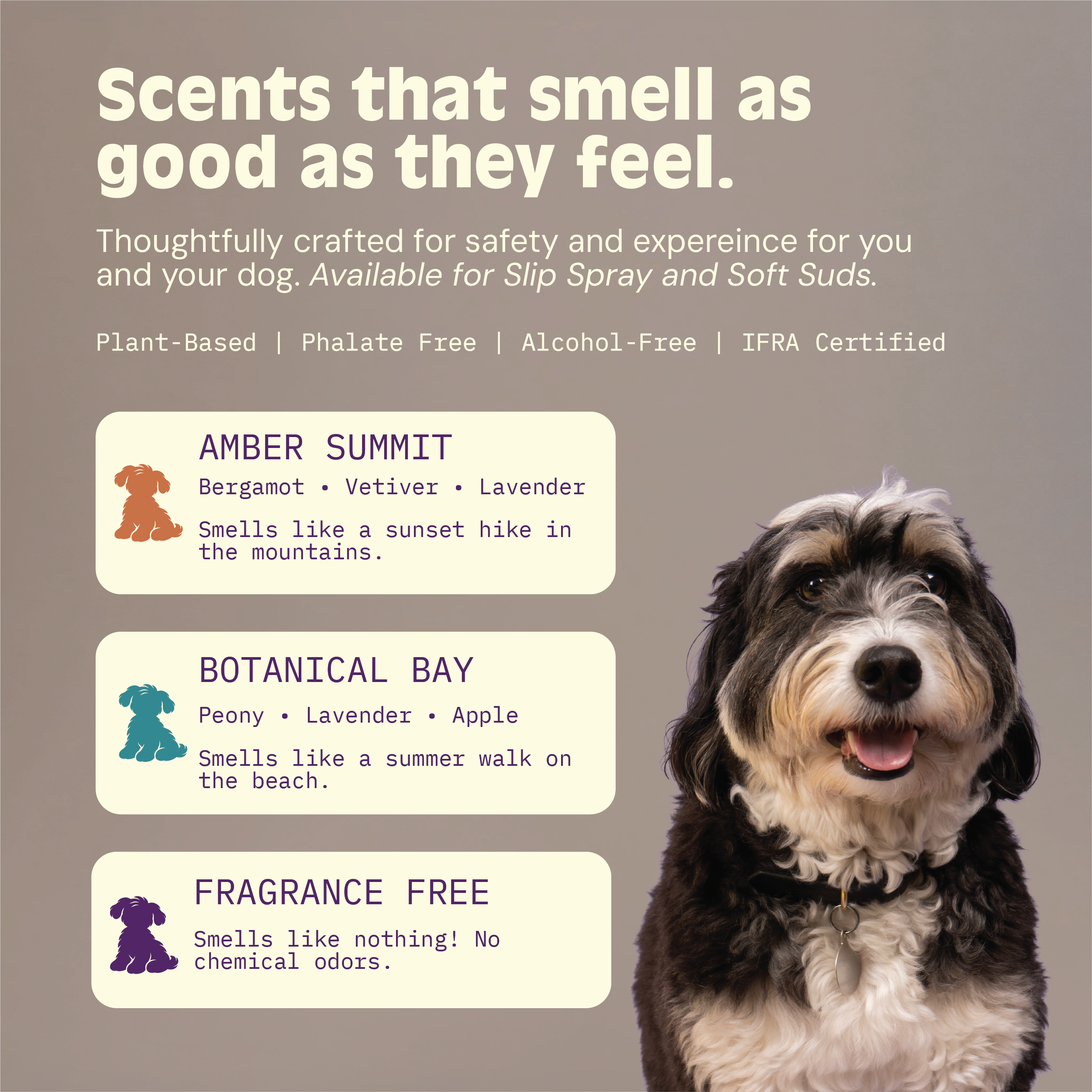 Soft Suds Bloom Groom