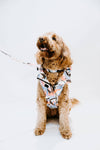Leaf Dog Rain Jacket Stella & Oscar