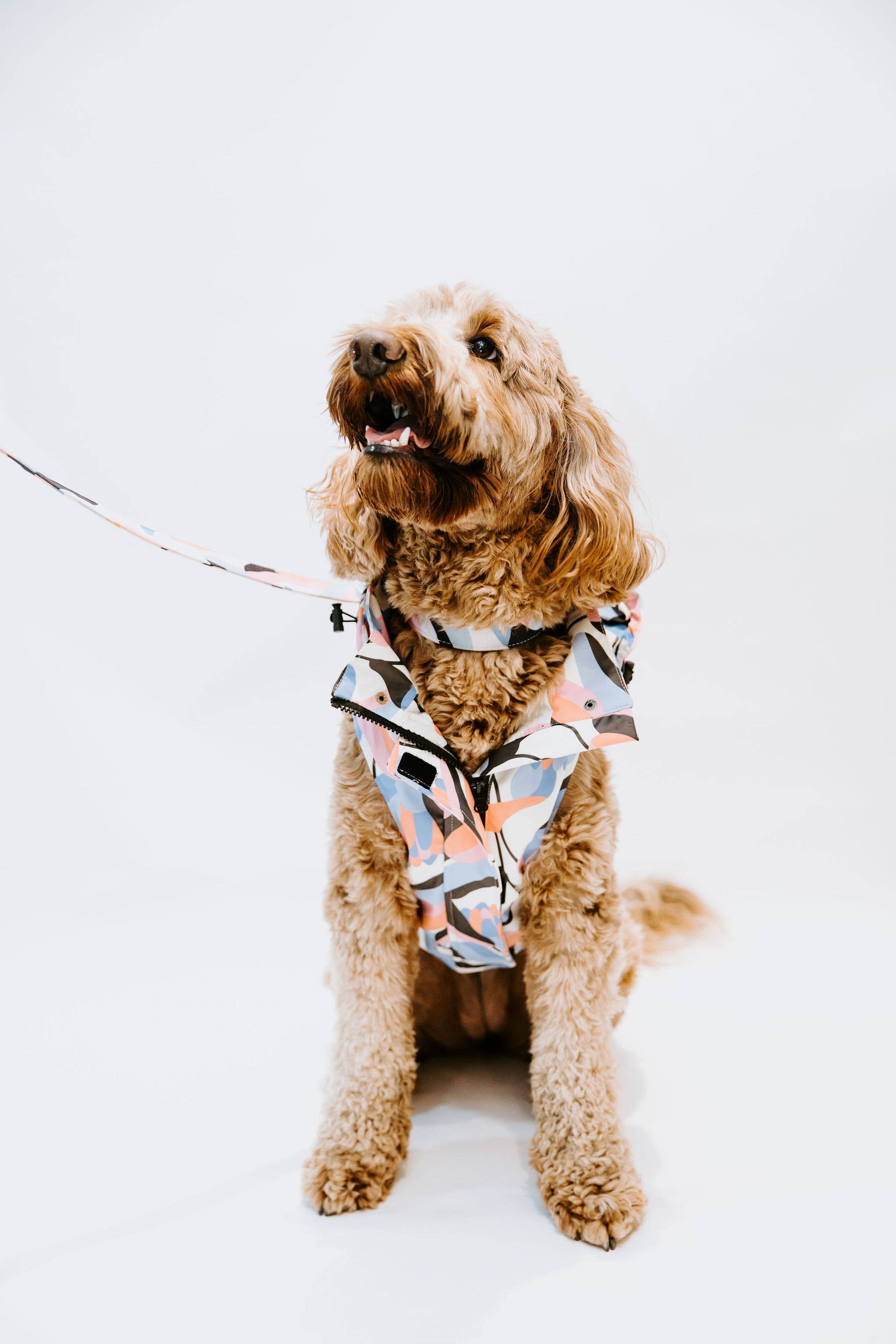 Leaf Dog Rain Jacket Stella & Oscar