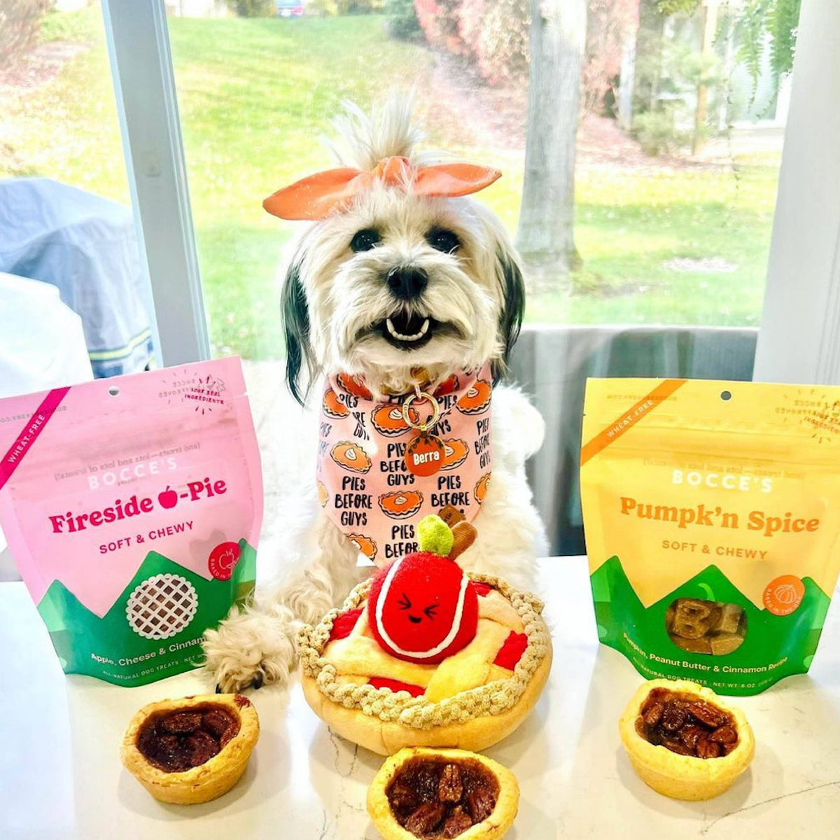 Bocce's Bakery Fireside Apple Pie Soft & Chewy Treats 6oz Pet Palette Distribution
