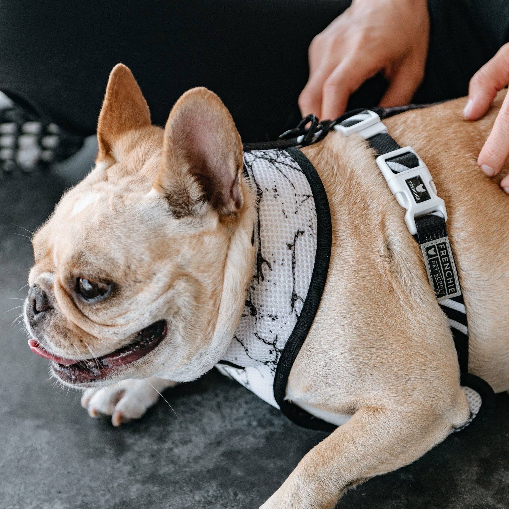 Frenchie Duo Reversible Harness - Black Marble - The Bougie Pet Boutique